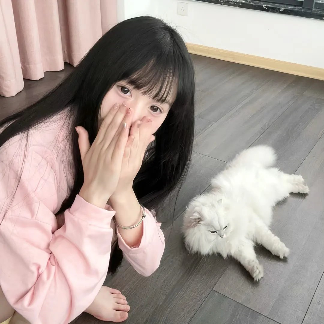 女人的面孔